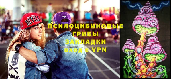 мдпв Киренск