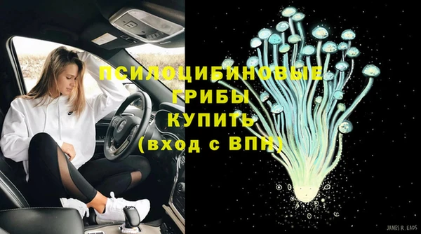 дурь Карпинск