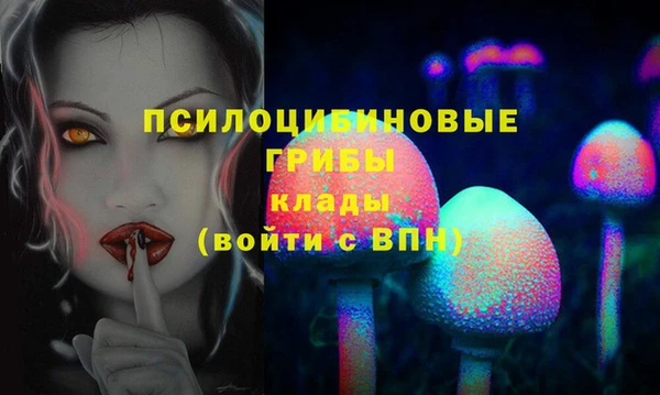 mdpv Касимов