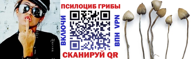 Купить закладки  Гусев  Галлюциногенные грибы Cubensis 